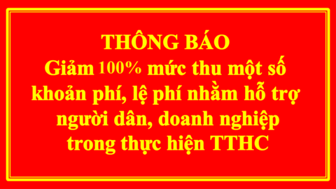 Mức thu lệ phí không đồng trong thực hiện dịch vụ công trực tuyến trên địa bàn tỉnh Quảng Ngãi